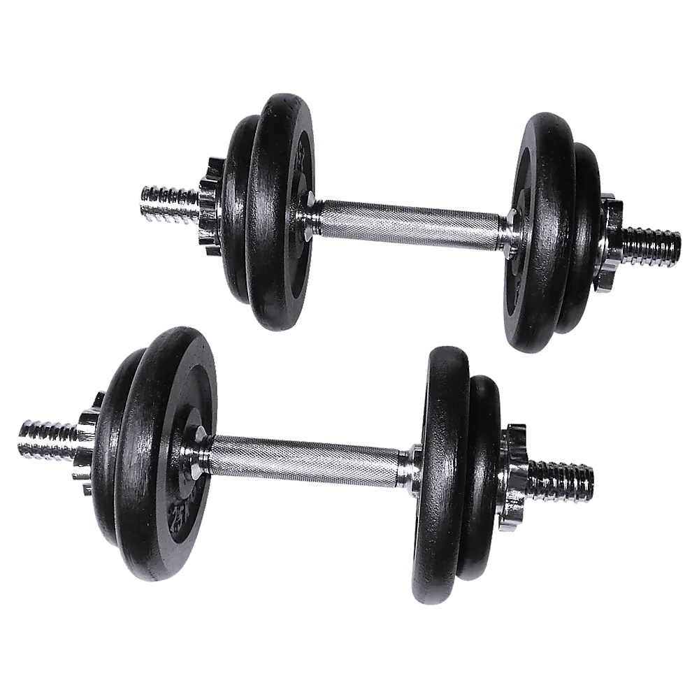 50kg Adjustable Barbell and Dumbbell Weight Set with Case