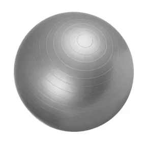 Gym Ball Fitness Ball 65cm - Grey