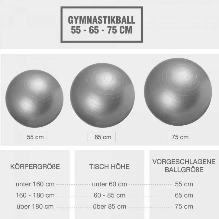 Gym Ball Fitness Ball 65cm - Grey